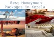 Honeymoon Packages in Kerala