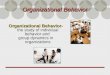 Chapter 1- Organizational Behavior Introduction