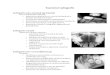 Examenul radiografic.pdf