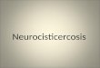 18 ISNsn III ncc neurocisticercosis NOV2010.ppt
