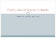 Features of Horse Breeds