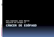Cancer de Esofago 2014 Expo