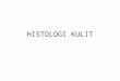 histologi kulit