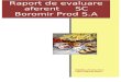 Raport Evaluare Boromir SA
