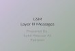97169532 GSM Layer 3 Messages