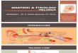 TELINGA - Anatomi Dan Fisiologi