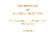 9. Patogenesikknjhbbhs Infeksi Bakteri