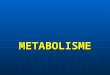 FISIOLOGI- Metabolisme