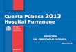 Cuenta Publica Gestion 2013 Purranque (17.03.2014)PDF