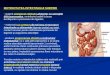fiziologia intestinala