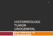 Histopatologi Tumor Urogenital