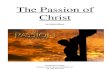 The Passion of Christ. Adam Blaue - From Goddirection