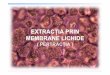 08 Extractia Prin Membrane Lichide (Pertractia)
