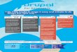 Drupal 8 Infographic Developers