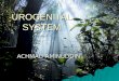 UROGENITAL SYSTEM1