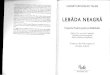 Lebada Neagra - Nassim Nicholas