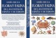 Plantas - Guia de La Flora y Fauna de Las Costas de España y de Europa