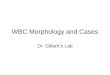 WBC Morphology and Cases Quiz2