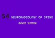54 DAVID SUTTON PICTURES NEURORADIOLOGY OF SPINE