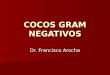 Cocos Gram Negativo