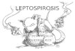 LEPTOSPIROSIS (W1-kelompok 2).pptx