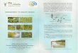 Management of Aquatic Weeds 1