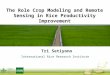 The Role of Crop Modeling and Remote Sensing in Rice Productivity Improvement