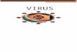 Generalidades de Los Virus Presentacion