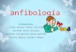 Anfibologas Final.ppt