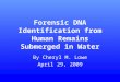 Forensic Dna Identification Submerged Warter