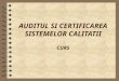 Auditul Si Certificarea Sistemelor