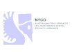 NYCO Lubricant