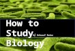 how to study biology