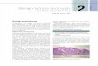 Requisites in Dearmatology - Dermatopathology [tahir99] VRG (dragged) 12.pdf