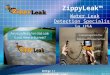 Pool Leak Detection Boston MA | 617-207-7799 | ZippyLeak