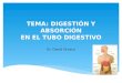 Digestion y Absorcion Tubo Digestivo