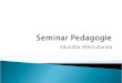 3. Educatie interculturala - seminar pedagogie.ppt