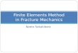 Finite Element Methods in Fracture Mechanics