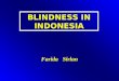 Blindness in Indonesia