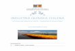 Industria Química Chilena Actividad 1 Isabella Bozzo - Felipe Guerra
