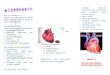 leaflet hipertensi nu.doc