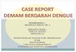 Case- DHF an.natan 1