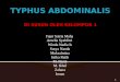 Typhus Abdominalis