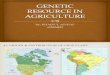 Genetic Resource in Agriculture