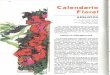Calendario Floral Arbustos Botanica BSE