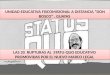 20 RUPTURAS AL STATU-QUO EDUCATIVO.pptx