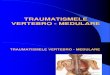 Traumatismele vertebro-medulare