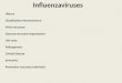 Lecture 11 Influenzavirus