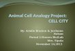 Animal Cell Analogy