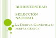 Biodiversidad,Selec Natural,Deriva Génica